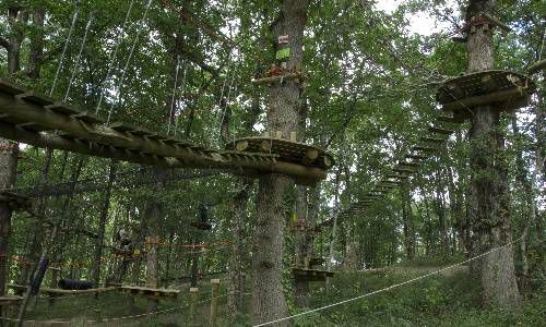 Parcours d'Aventure Tarzan