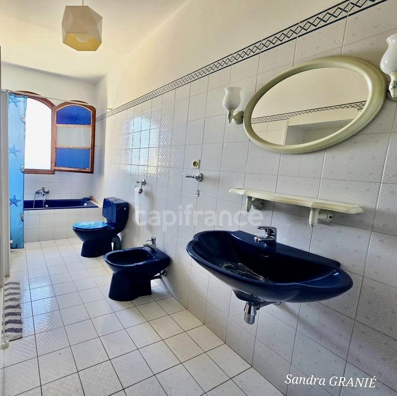 Maison - 353 m² - 10 pièces