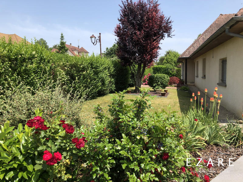 Maison - 230 m² - 8 pièces