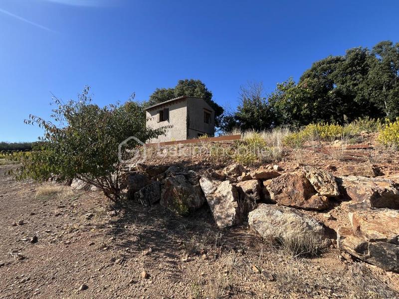 Terrain agricole - 94 430 m²