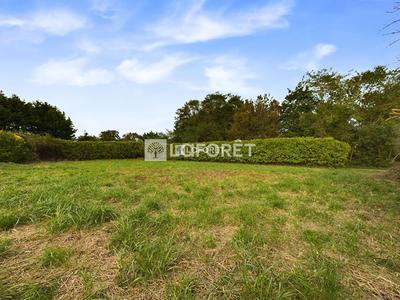 Terrain agricole - 1 055 m²