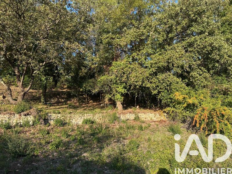 Terrain agricole - 10 338 m²