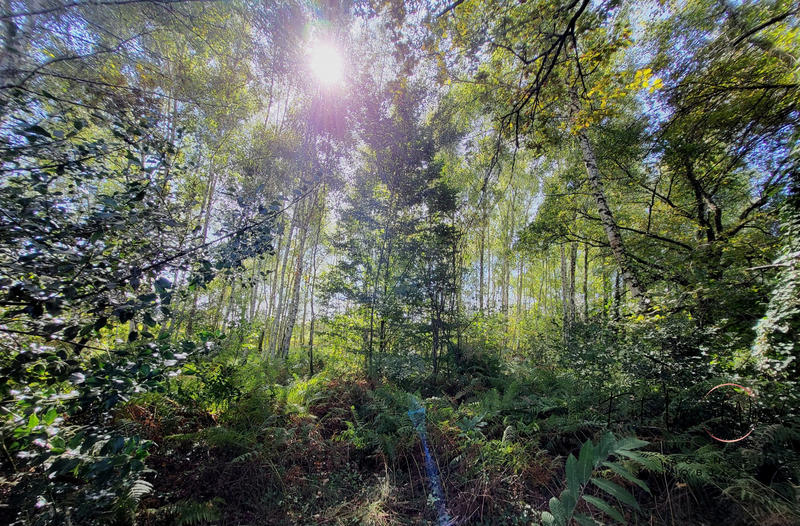 Maison ancienne - 140 m² - 4 pièces