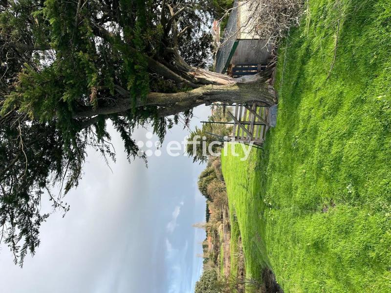 Terrain - 11 140 m²