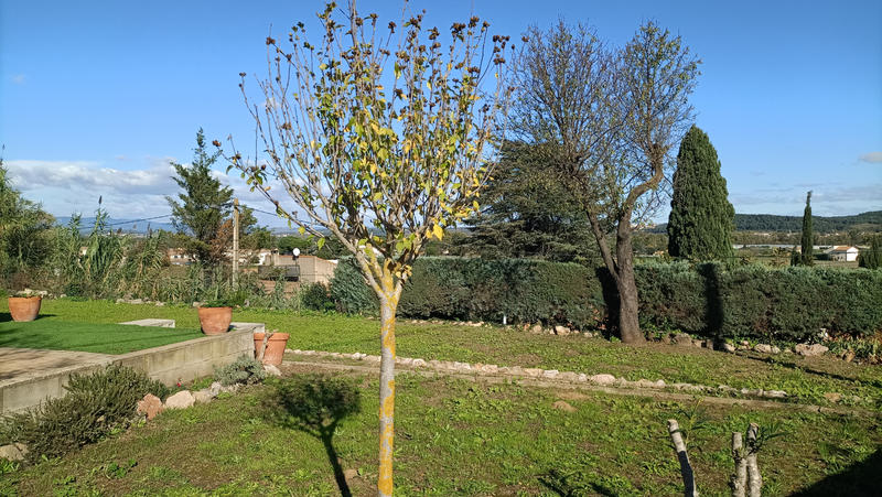 Villa - 120 m² - 4 pièces