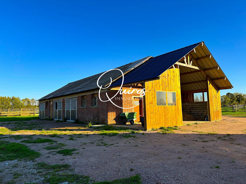 Maison - 290 m² - 8 pièces