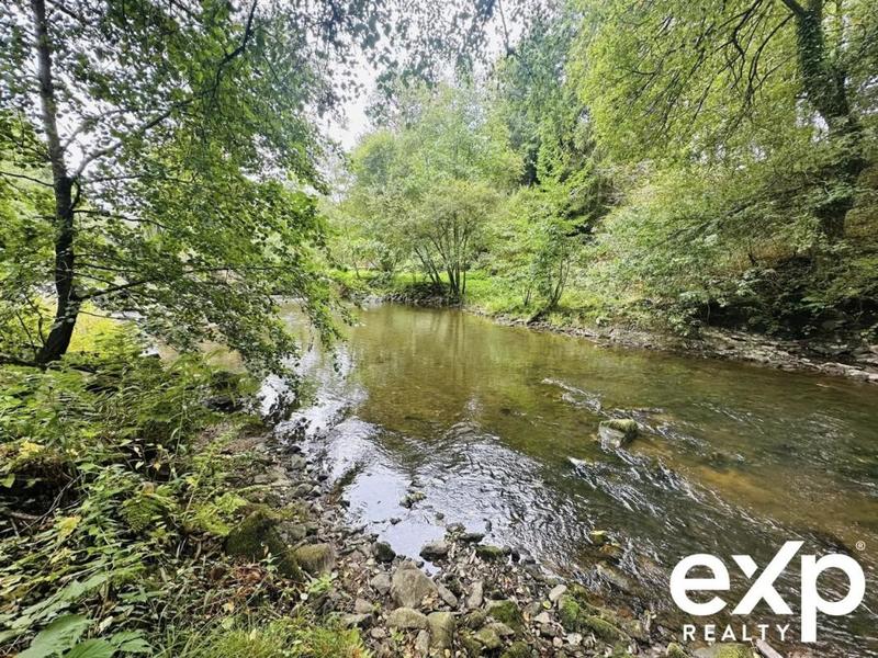 Moulin - 309 m² - 8 pièces