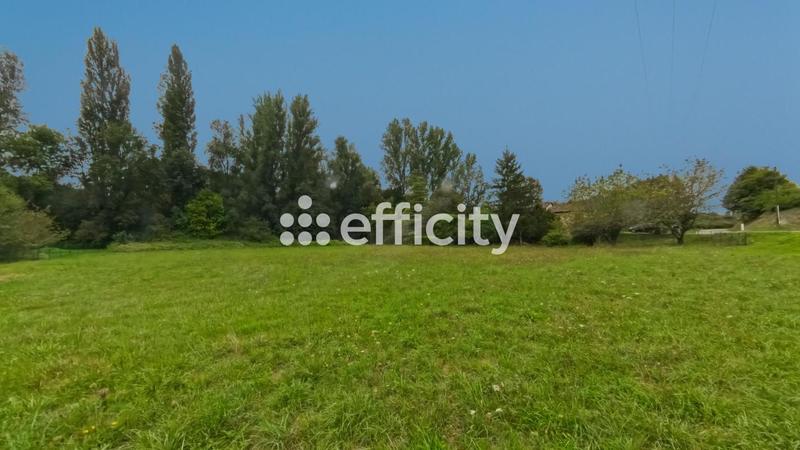 Terrain - 2 923 m²