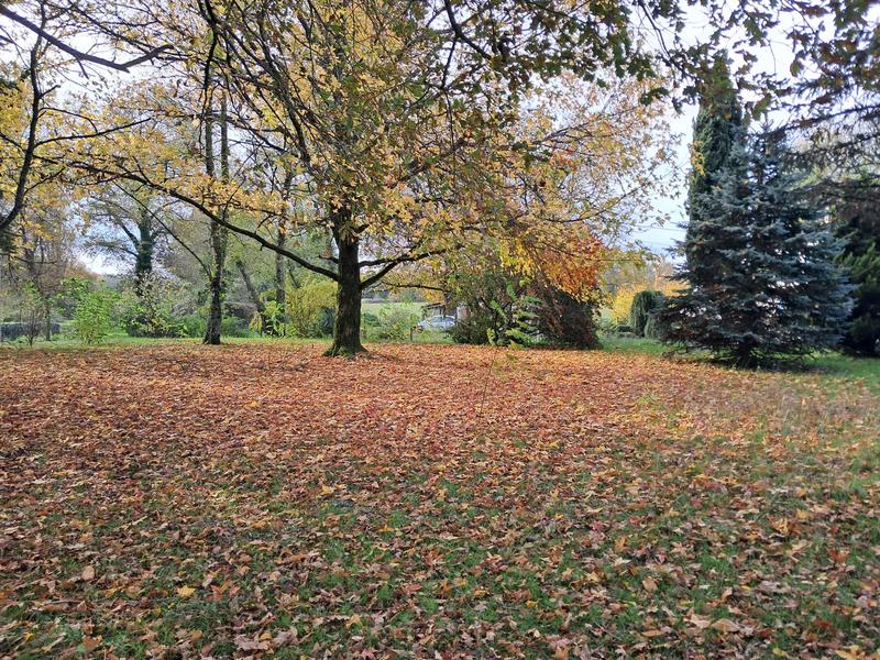 Maison ancienne - 150 m² - 5 pièces