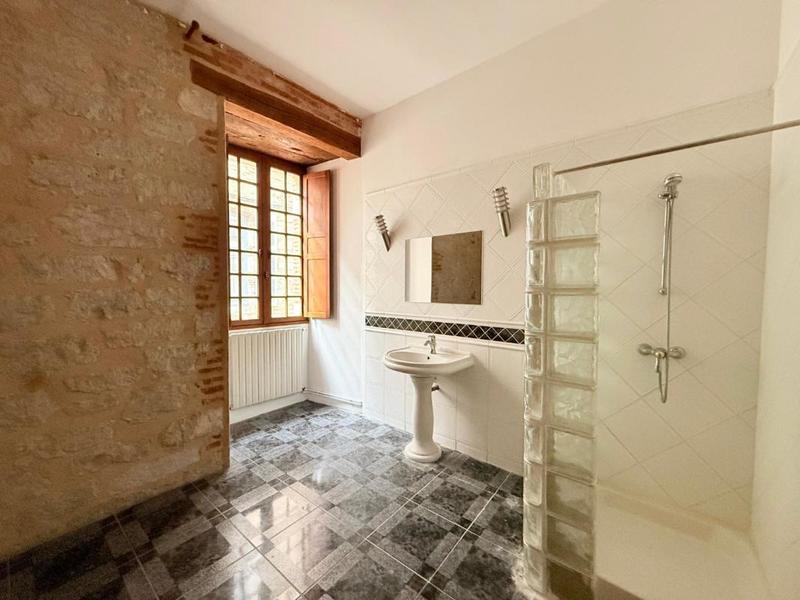 Hôtel particulier - 381 m² - 7 pièces