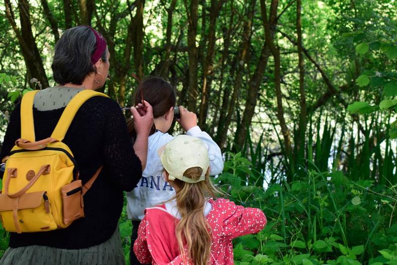 Photographier la faune avec éthique