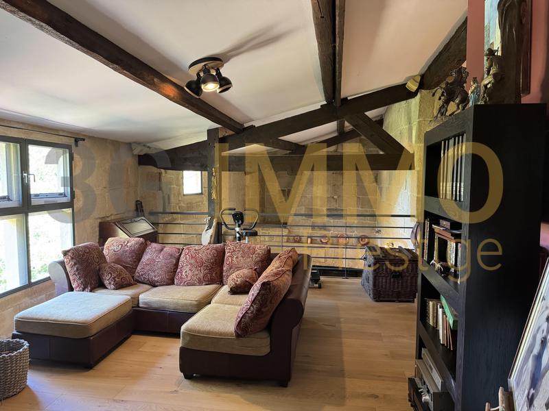 Moulin - 182 m² - 9 pièces