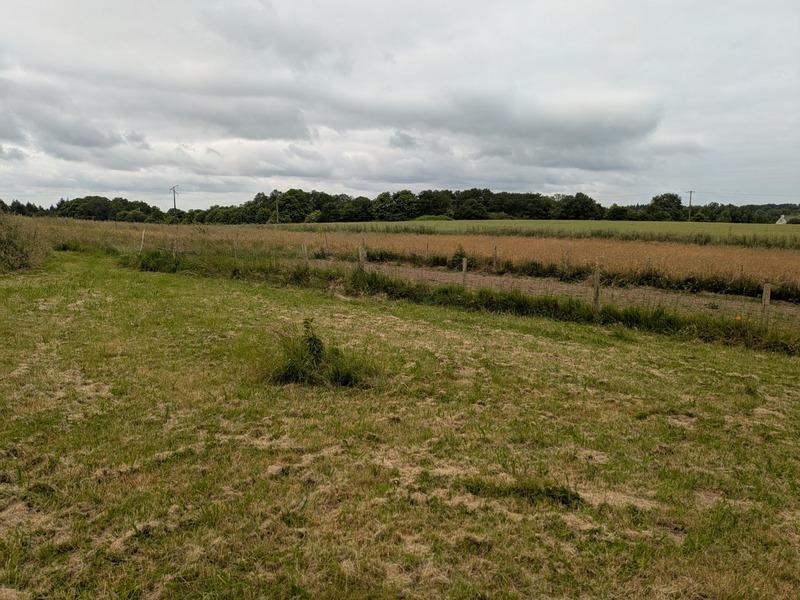 Maison de campagne - 50 m² - 2 pièces