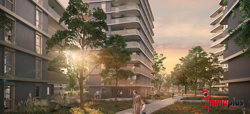 Appartement - 51 m² - 2 pièces