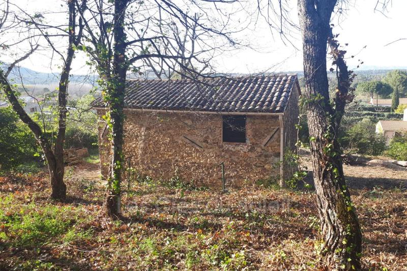 Maison en pierre - 55 m² - 3 pièces