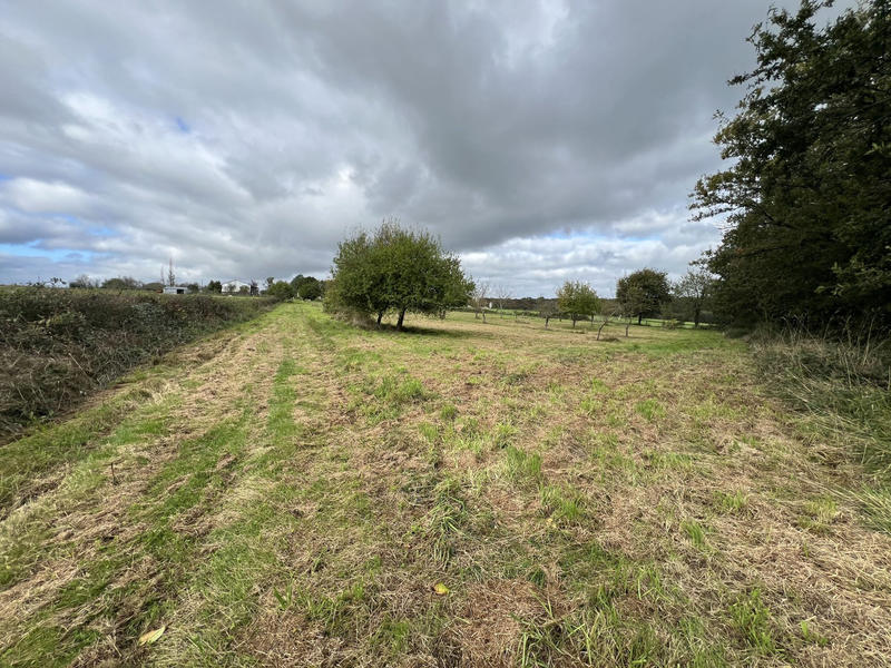 Maison - 165 m² - 9 pièces