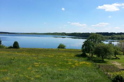 Sortie nature : les oiseaux d’eau hivernants du plan d’eau de Michelbach