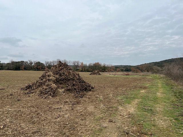 Terrain agricole - 21 777 m²