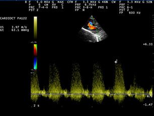 Clinique vétérinaire du Cèdre