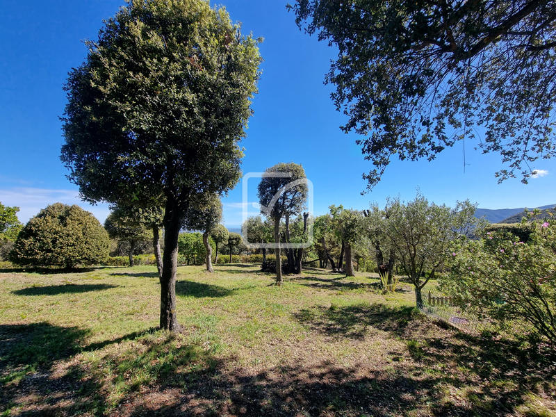 Propriété - 170 m² - 5 pièces