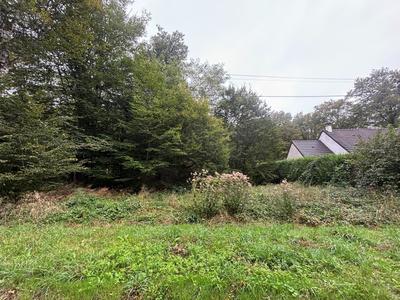Terrain - 1 562 m²