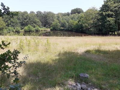 Terrain - 15 950 m²