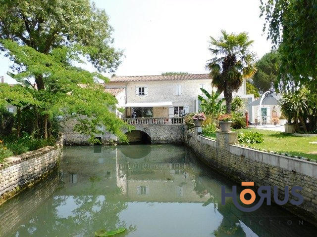 Viager - Maison ancienne - 367 m² - 14 pièces