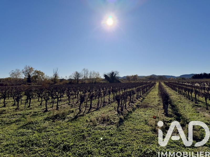 Terrain agricole - 9 227 m²