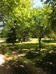 Maison - 525 m² - 12 pièces