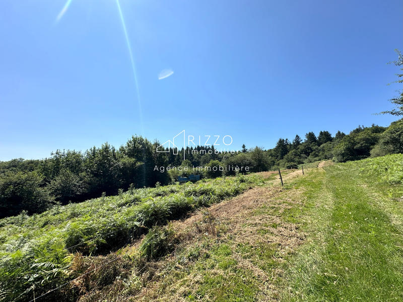 Ferme - 545 m² - 9 pièces