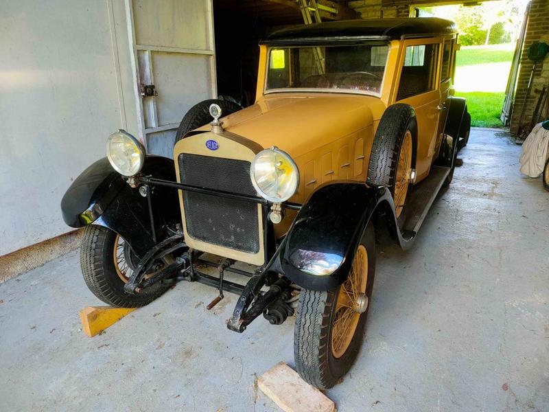 Delage di 11 Semi Weymann