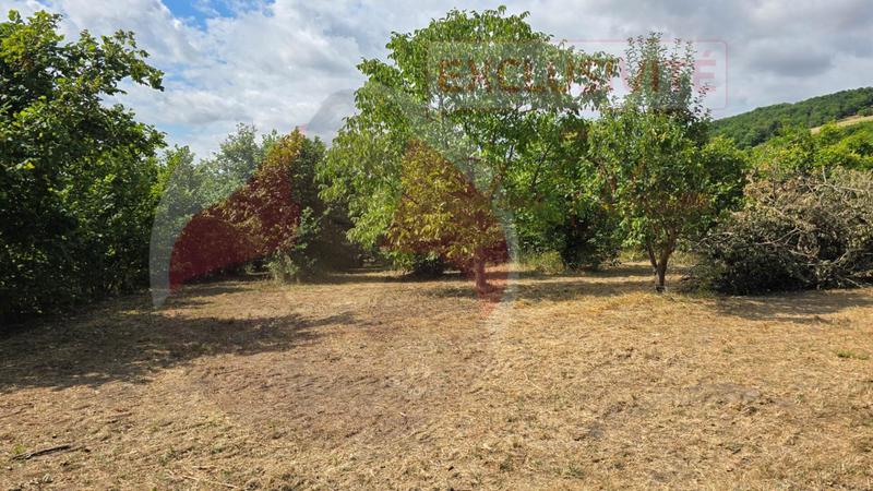 Maison - 450 m² - 11 pièces