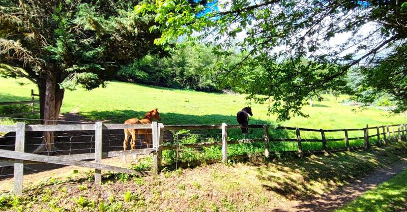 Propriété - 231 m² - 7 pièces