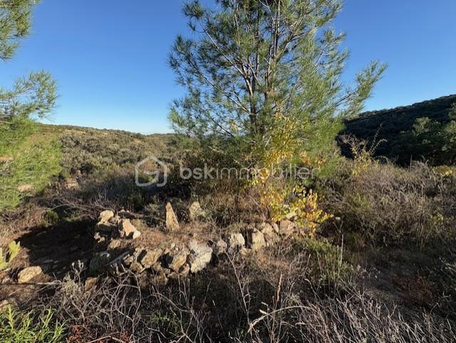 Terrain agricole - 10 160 m²