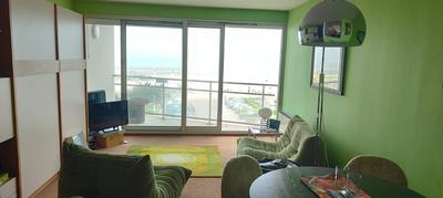 Studio - 36 m² - 1 pièce