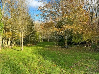 Terrain - 26 565 m²