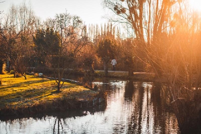 Escapade de Noël : Bourges – Cœur historique et marais