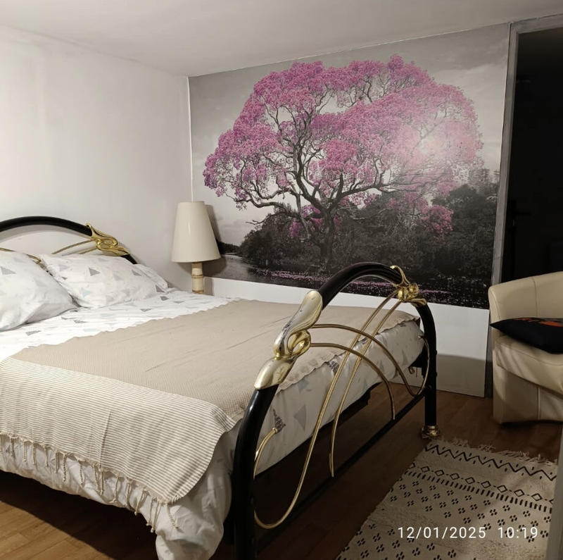 Maison - 230 m² - 7 pièces