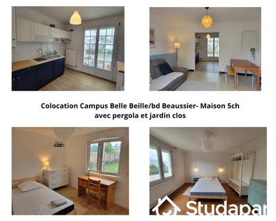 Chambre - 16 m² - 1 pièce