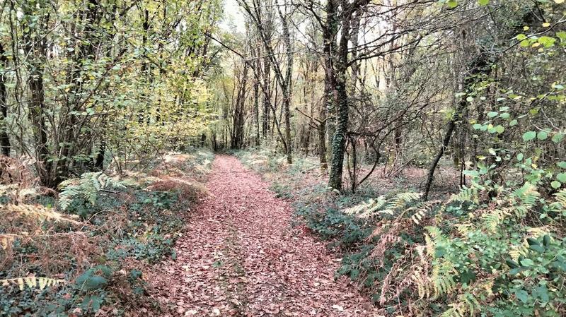 Terrain - 18 490 m²