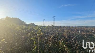 Terrain agricole - 6 151 m²