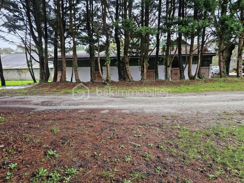 Terrain - 400 000 m²