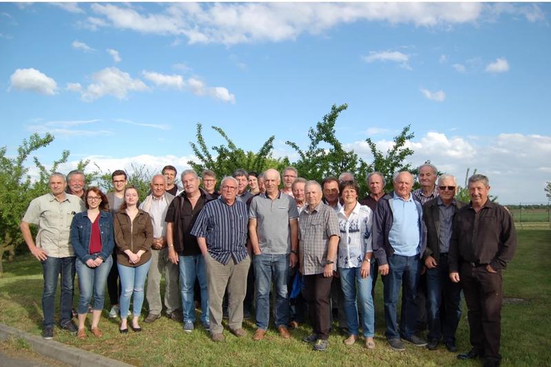 Promenade gastronomique du Schenkenberg