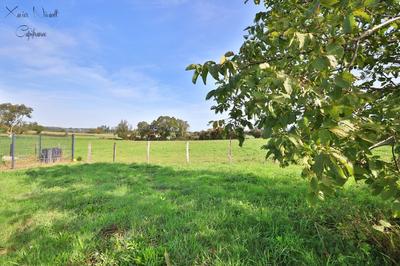 Terrain constructible - 1 480 m²
