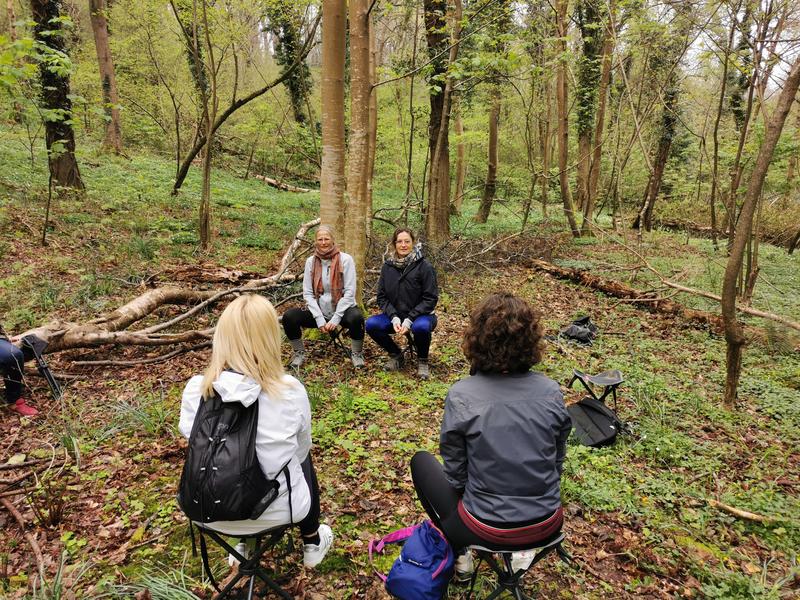 Balade sophro-nature - Côté Bois