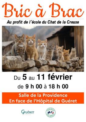 Bric à brac de l'école du chat de la creuse