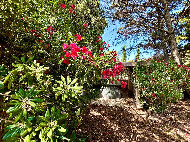 Propriété - 767 m² - 30 pièces