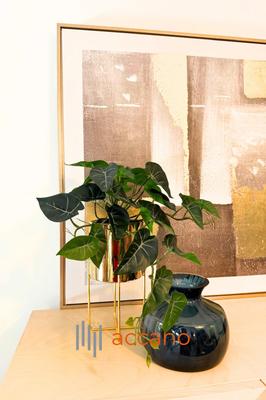 Appartement - 100 m² - 5 pièces