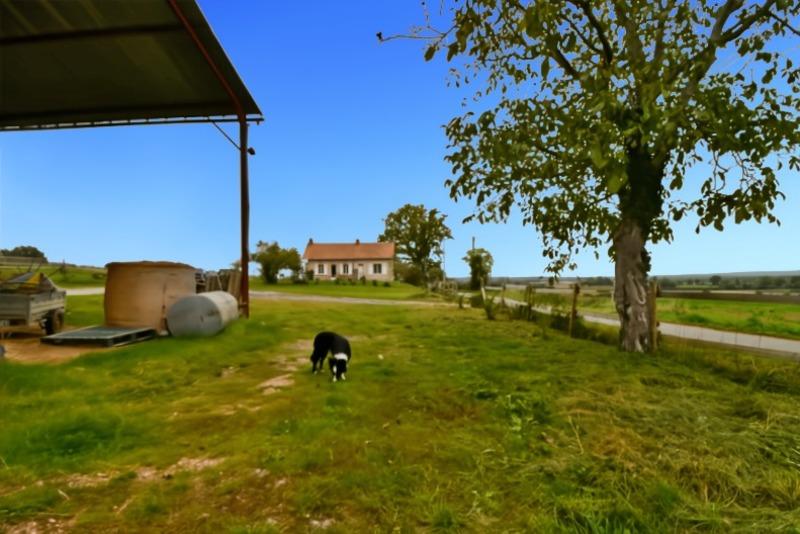 Haras - 95 m² - 4 pièces