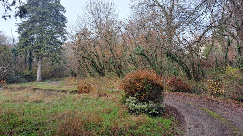 Maison - 70 m² - 2 pièces